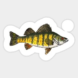 Yellow Perch Sticker